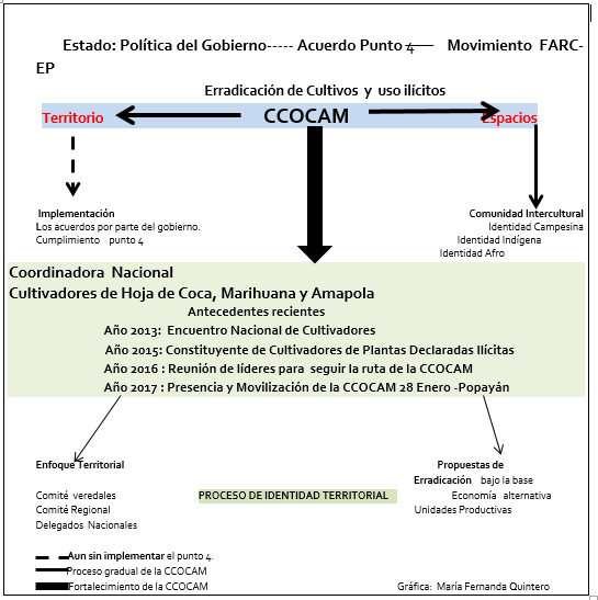 CULTIVADORES DE HOJA DE COCA