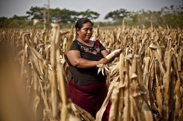 Campesina-guatemala-620x413