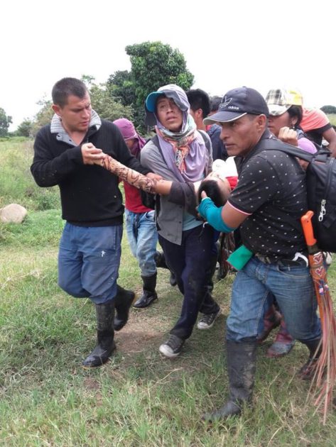 INDIGENA MUERE
