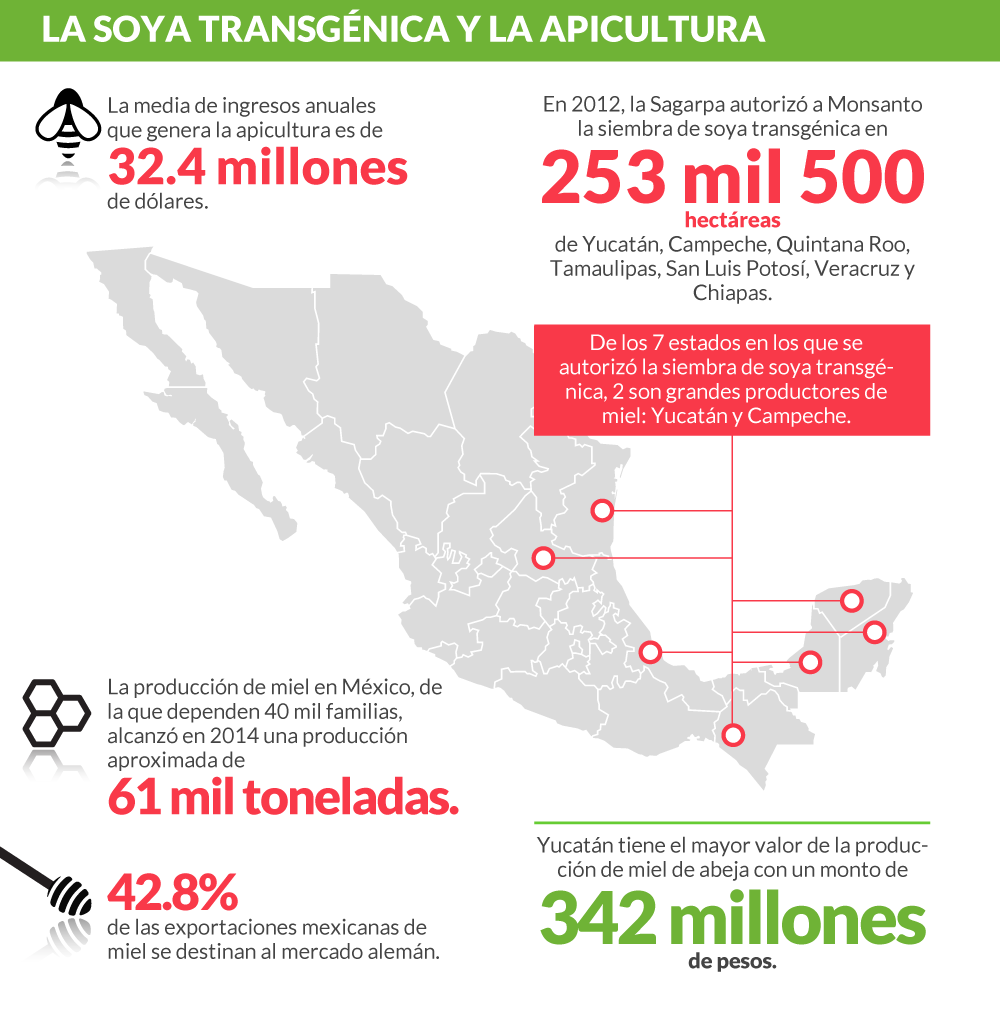 apicultura