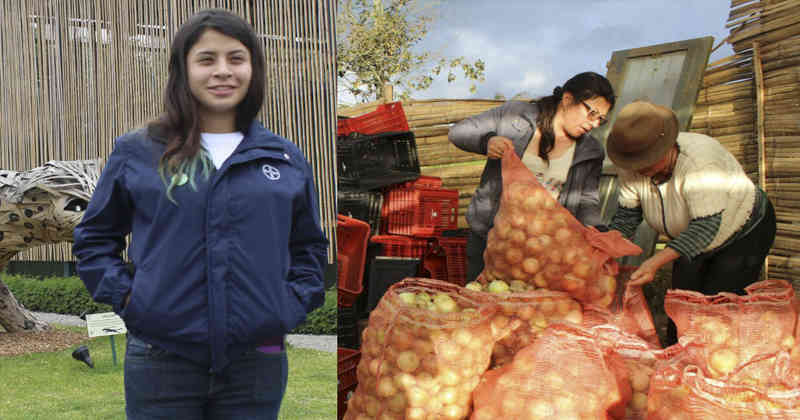 app campo