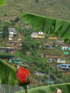 bello oriente 5