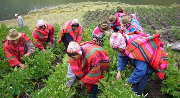 campesinos-960x623-e1405708674207