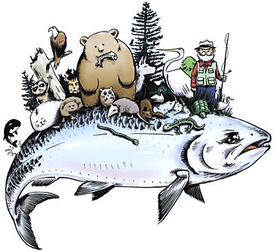 familia-salmón.Imagensalmón-297