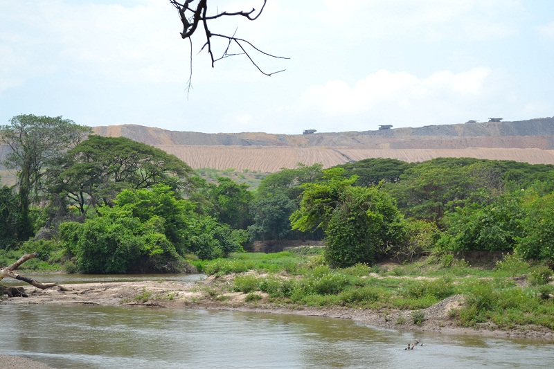 arroyo bruno