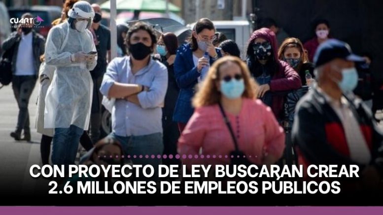 ley empleo publico
