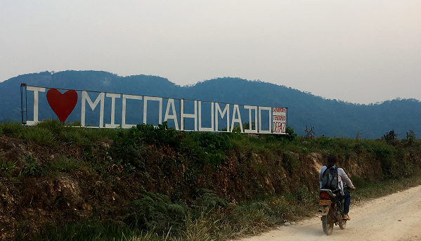 Micoahumado 1