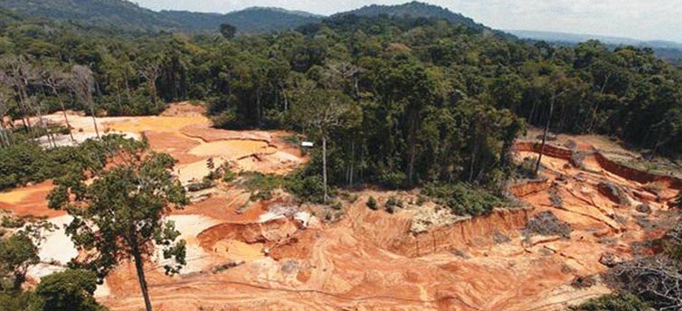 amazonas sos