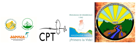 logos micoaumado