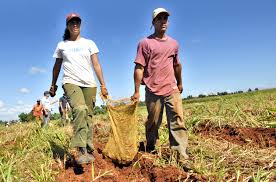 jovenes campo