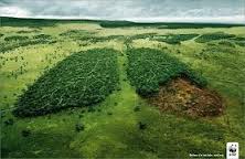 la cuestion ecologica