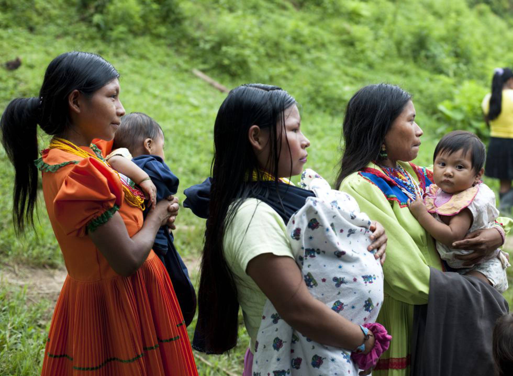 mejer embera
