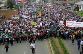 movilización col