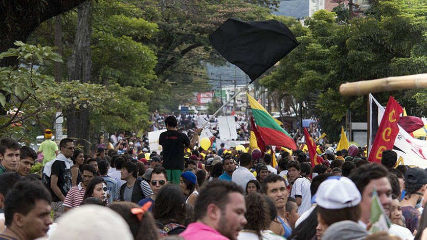no colosa ibague1